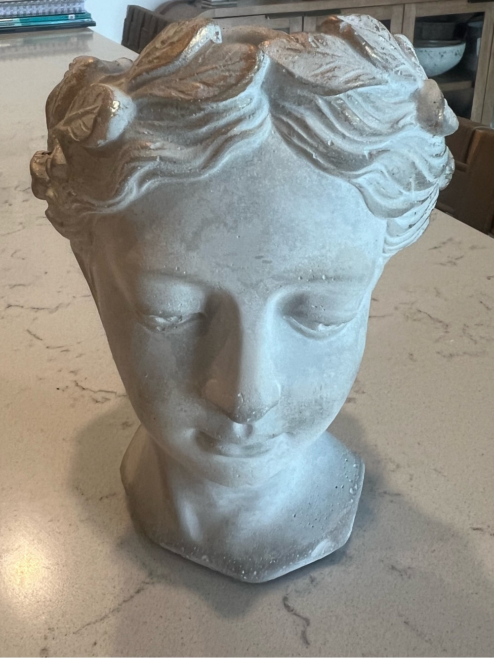 Small Grecian Bust Planter - Anthropologie